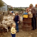 Lamb-marking-at-Lynfielf,-David,-Roslyn,-and-Susan-Metzke,-Jeff,-Jack-and-Gavin-Wall-Metzke-colle.jpg
