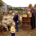 Lamb marking at Lynfield Caniambo