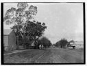 Cowslip Street, Violet Town