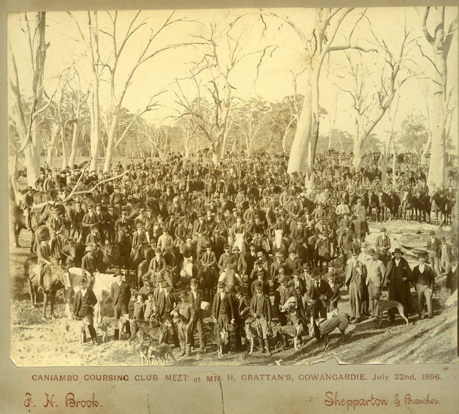 Caniambo Coursing Club Meet at Mr H. Grattan's, Gowangardie. 22nd July, 1896.jpg