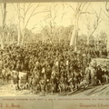 Caniambo Coursing Club Meet at Mr H. Grattan's, Gowangardie. 22nd July, 1896.jpg